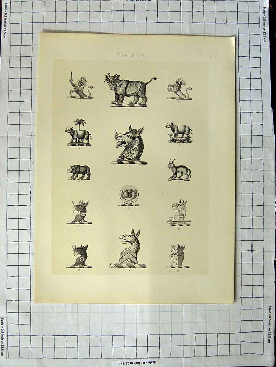 Original Old Antique Print A Plate Heraldry Crests C1790-C1900 Wild Animals