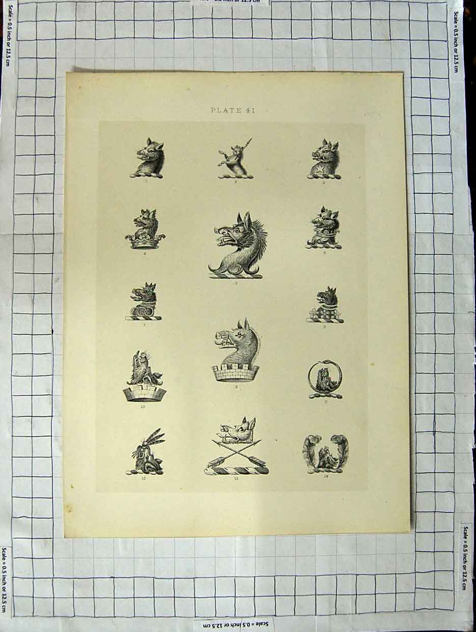 Original Old Antique Print A Plate Heraldry Crests C1790-C1900 Animals Heads