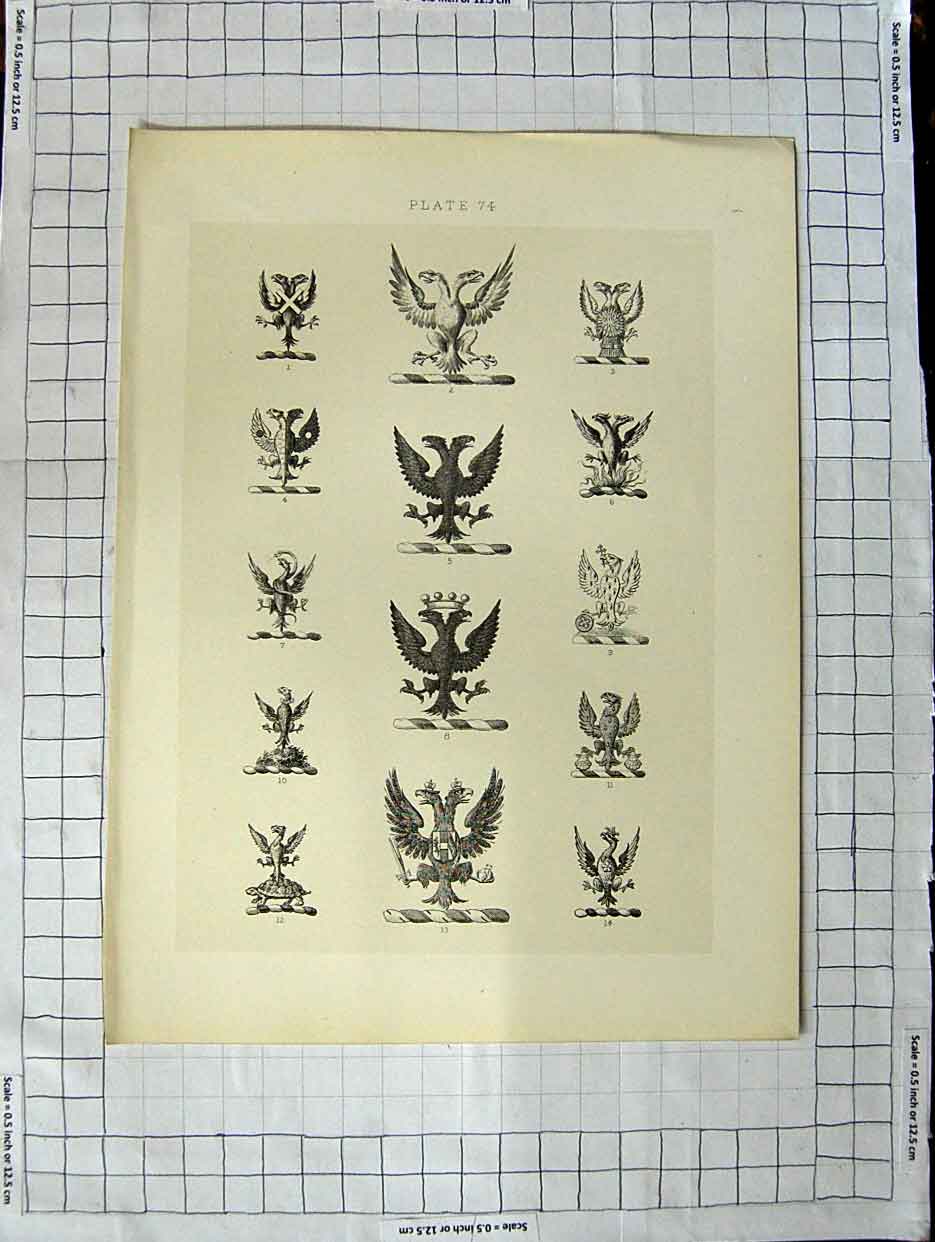 Original Old Antique Print A Plate Heraldry Crests C1790-C1900 Birds Feathers