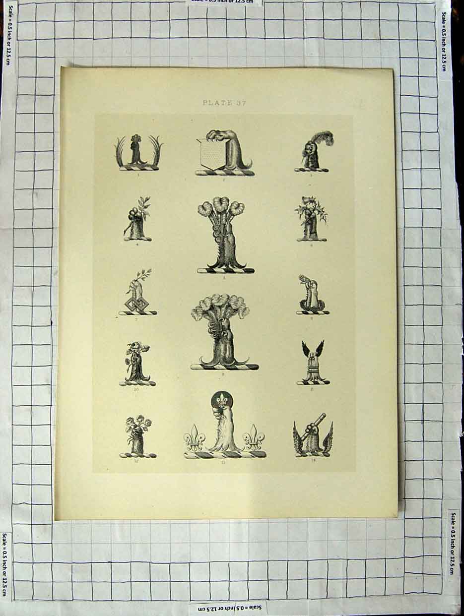 Original Old Antique Print A Plate Heraldry Crests C1790-C1900 Feathers Animals