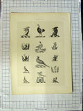 Original Old Antique Print Ref.392 A Heraldry Crests C1790-C1900 Birds Feathers