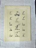 Original Old Antique Print A Plate Heraldry Crests C1790-C1900 Hands Weapons