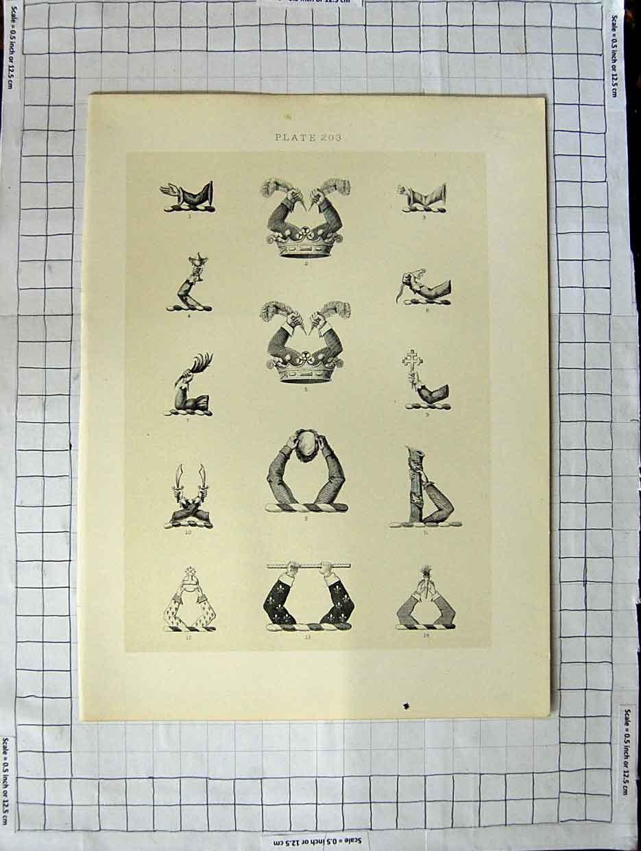 Original Old Antique Print A Plate Heraldry Crests C1790-C1900 Hands Feathers
