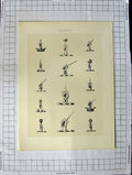 Original Old Antique Print Ref.396 A Heraldry Crests C1790-C1900 Hands Weapons