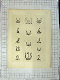 Original Old Antique Print A Plate Heraldry Crests C1790-C1900 Crown Head Wear