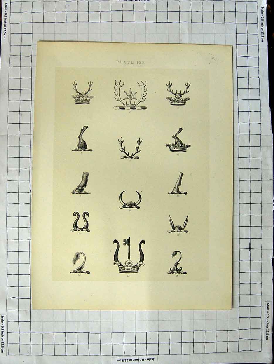 Original Old Antique Print A Plate Heraldry Crests C1790-C1900 Crown Head Wear