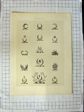 Original Old Antique Print A Plate Heraldry Crests C1790-C1900 Head Shapes 18th