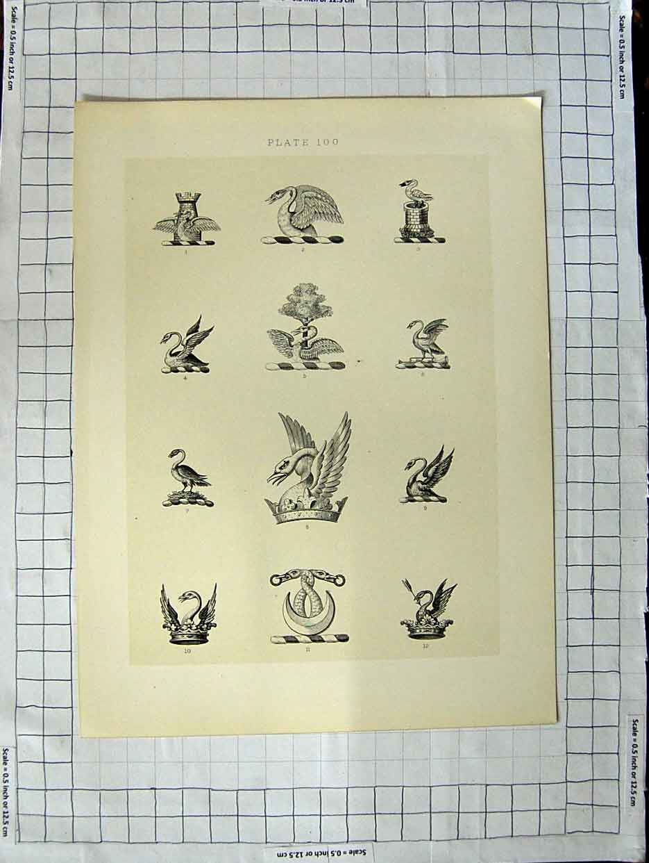 Original Old Antique Print Ref.409 A Heraldry Crests C1790-C1900 Winged Birds