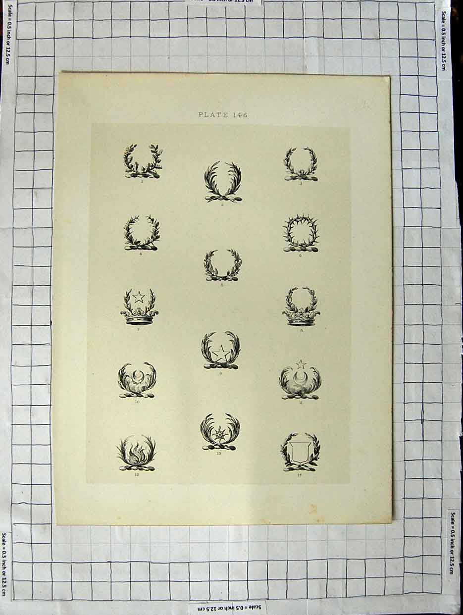 Original Old Antique Print A Plate Heraldry Crests C1790-C1900 Head Garlands