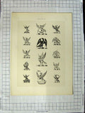 Original Old Antique Print Ref.416 A Heraldry Crests C1790-C1900 Winged Birds