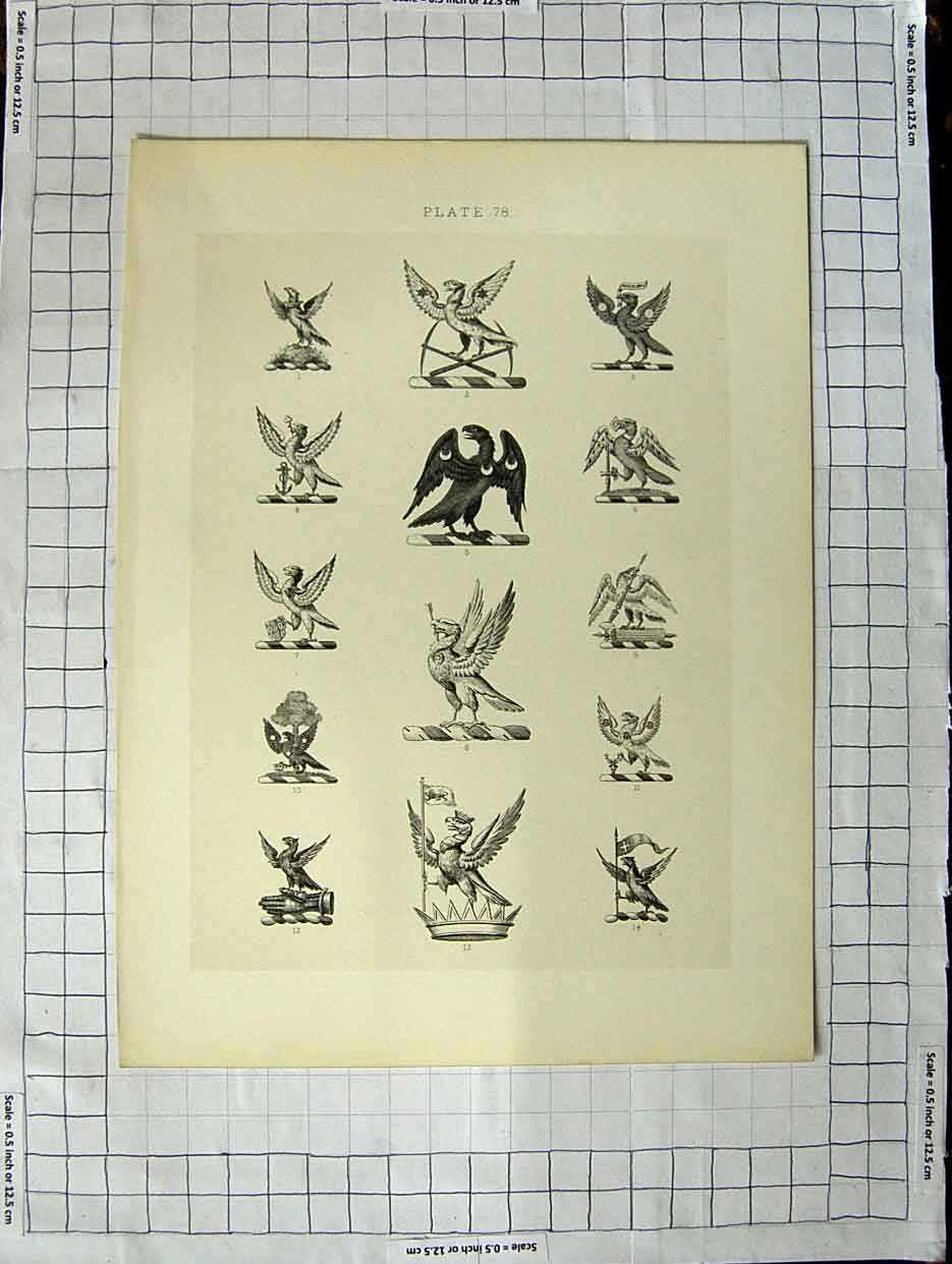 Original Old Antique Print Ref.416 A Heraldry Crests C1790-C1900 Winged Birds