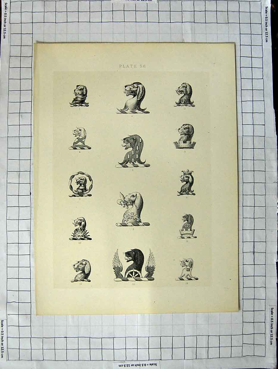 Original Old Antique Print Ref.417 A Heraldry Crests C1790-C1900 Animals Heads