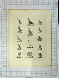 Original Old Antique Print Ref.418 A Heraldry Crests C1790-C1900 Winged Birds