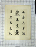 Original Old Antique Print A Plate Heraldry Crests C1790-C1900 Human Men Heads