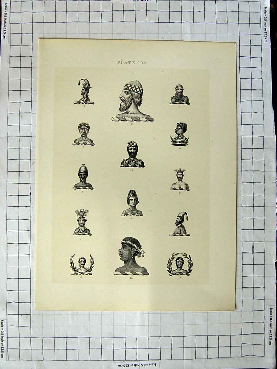 Original Old Antique Print A Plate Heraldry Crests C1790-C1900 Human Men Heads