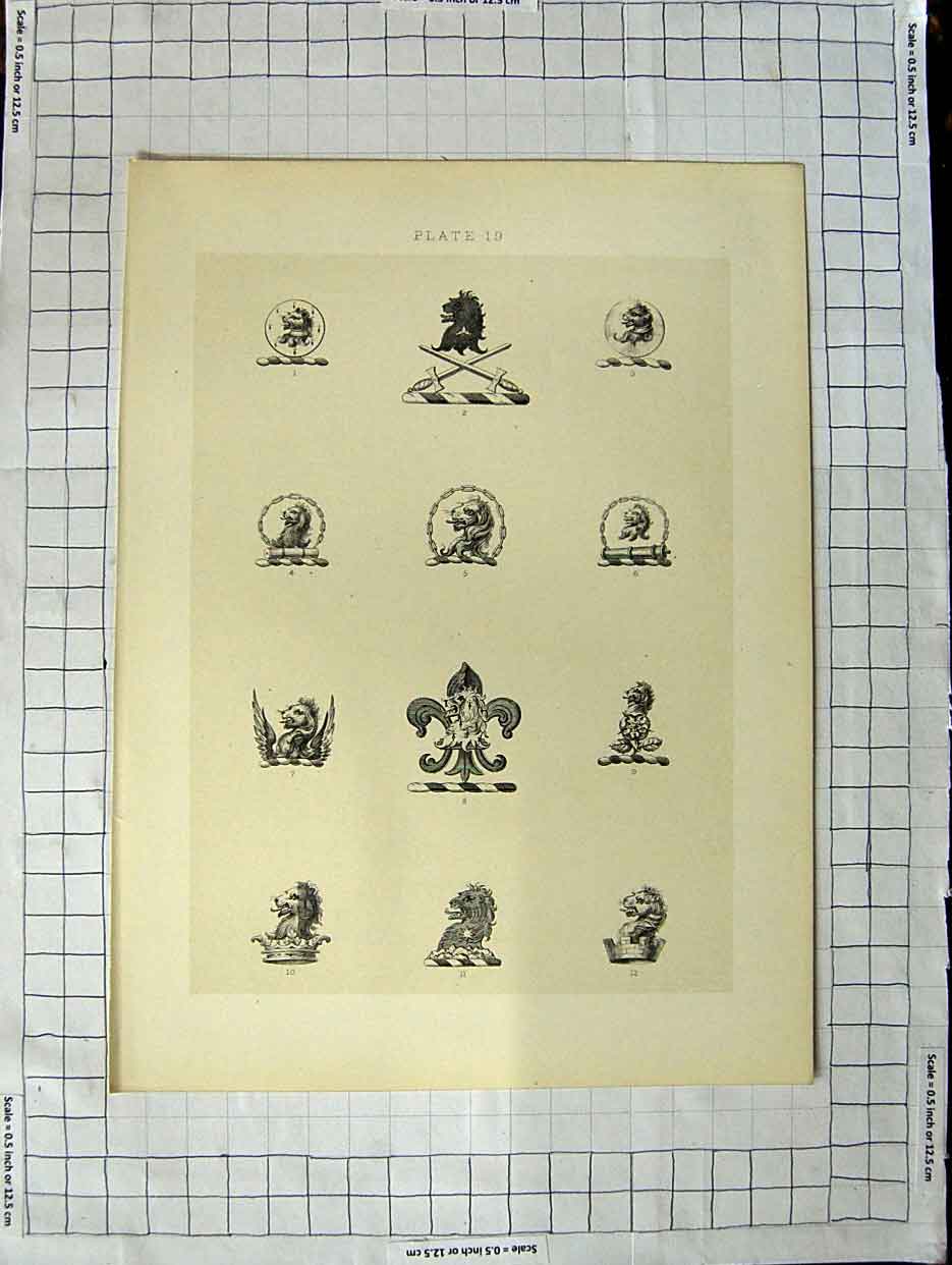 Original Old Antique Print Ref.421 A Heraldry Crests C1790-C1900 Lions Animals