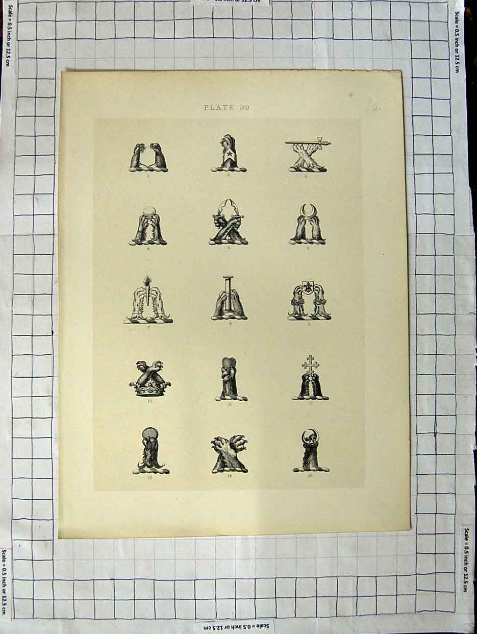 Original Old Antique Print A Plate Heraldry Crests C1790-C1900 Animals Paws