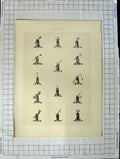 Original Old Antique Print Ref.423 A Heraldry Crests C1790-C1900 Hands Weapons