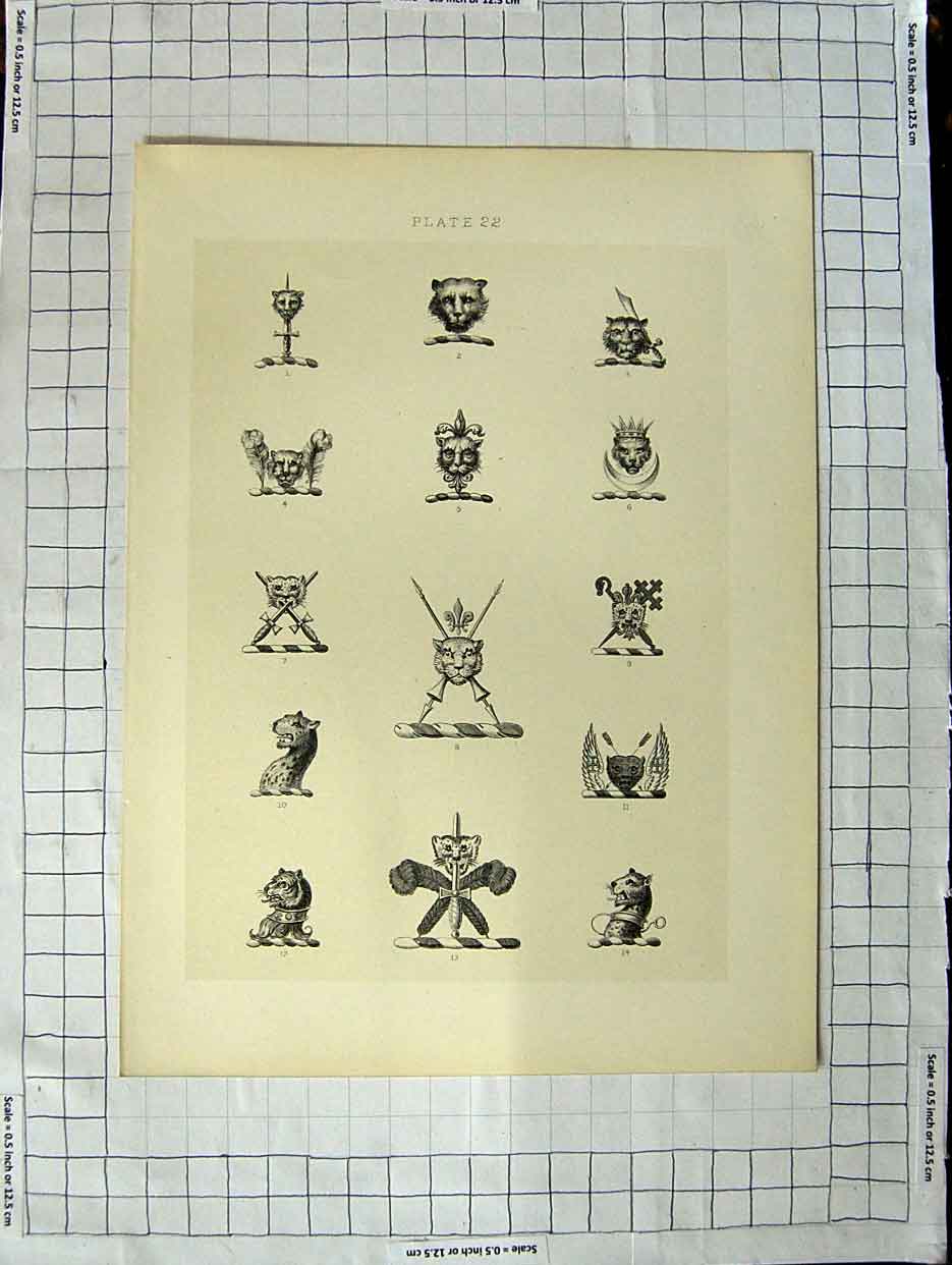 Original Old Antique Print Ref.426 A Heraldry Crests C1790-C1900 Animals Heads