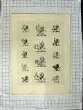 Original Old Antique Print Ref.428 A Heraldry Crests C1790-C1900 Lions Animals
