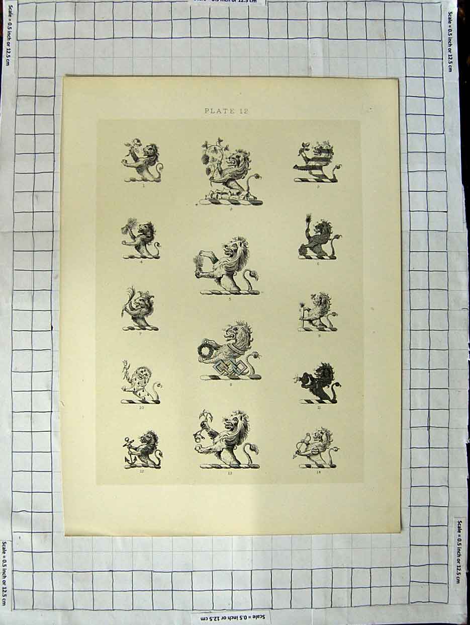 Original Old Antique Print Ref.428 A Heraldry Crests C1790-C1900 Lions Animals