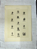 Original Old Antique Print A Plate Heraldry Crests C1790-C1900 Human Man Heads