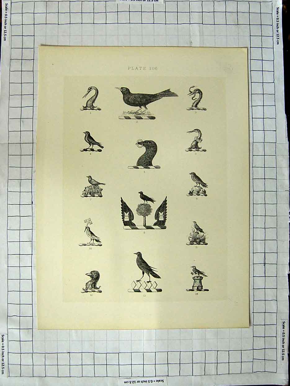 Original Old Antique Print Ref.434 A Heraldry Crests C1790-C1900 Winged Birds