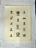 Original Old Antique Print A Plate Heraldry Crests C1790-C1900 Farm Crops 18th