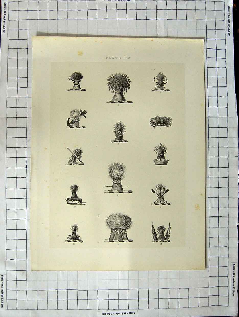 Original Old Antique Print A Plate Heraldry Crests C1790-C1900 Farm Crops 18th