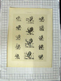 Original Old Antique Print Ref.441 A Heraldry Crests C1790-C1900 Lions Animals