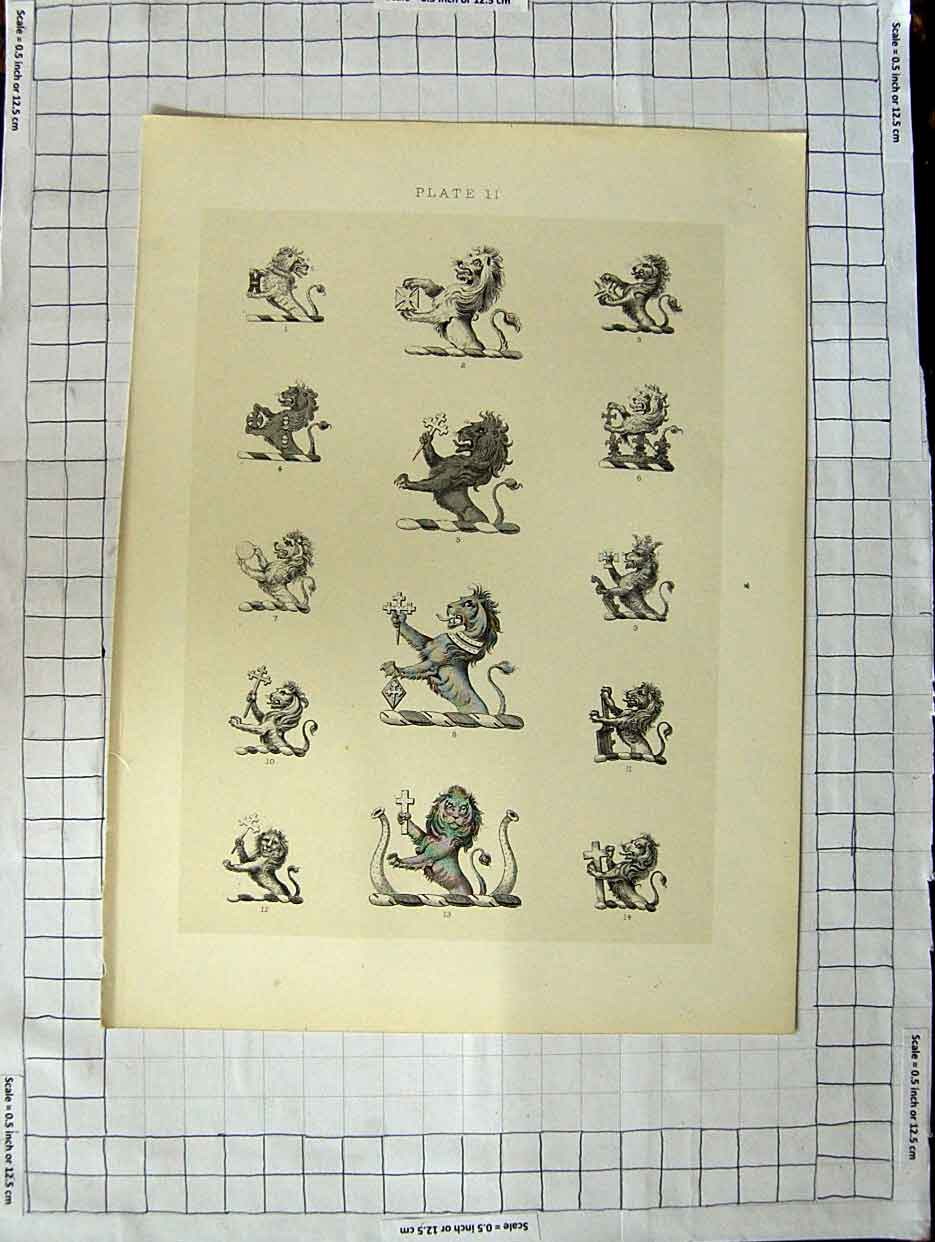 Original Old Antique Print Ref.441 A Heraldry Crests C1790-C1900 Lions Animals