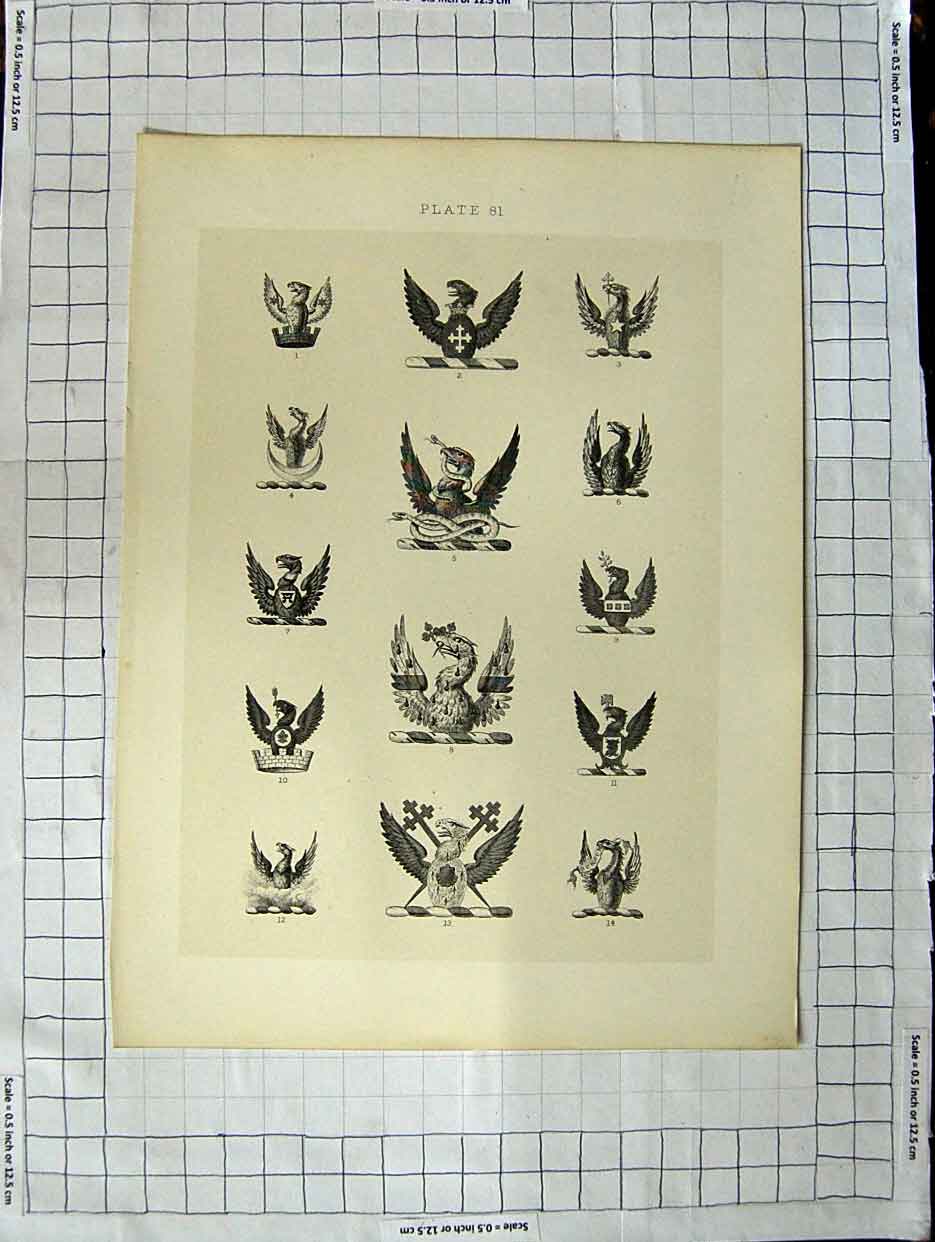 Original Old Antique Print Ref.443 A Heraldry Crests C1790-C1900 Winged Birds