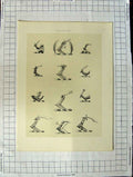 Original Old Antique Print A Plate Heraldry Crests C1790-C1900 Weapons Arms
