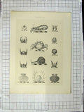 Original Old Antique Print A Plate Heraldry Crests C1790-C1900 Crustaceans 18th