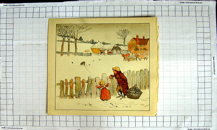 Original Old Antique Print Colour Nursery Rhyme Catching Blackbirds Cage