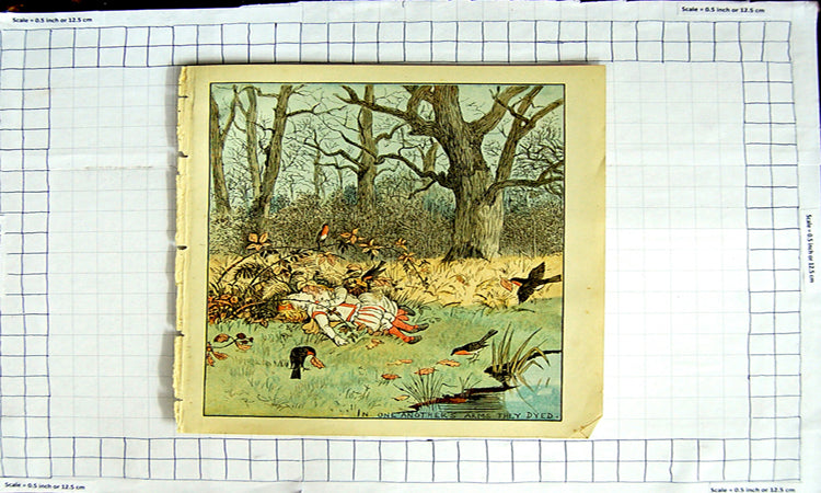 Original Old Antique Print Colour Birds Trees Dying Children Sad Story