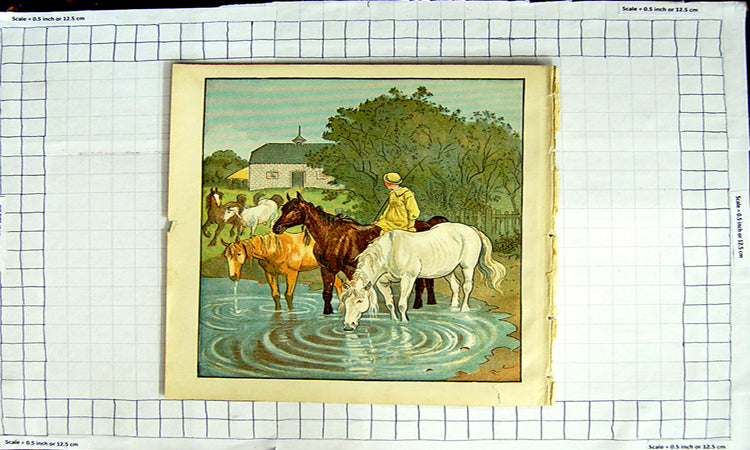 Original Old Antique Print Colour Nursery Rhyme The Farmer'S Boy Horses