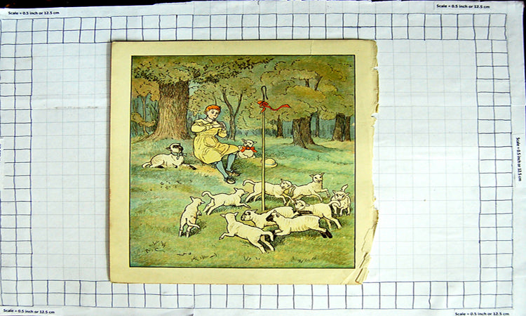 Original Old Antique Print Colour Shepherd Lambs Sheep Music Pipe Trees