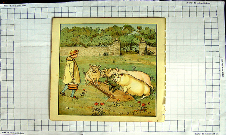Original Old Antique Print Colour Farmer Feeding Pigs Trough Countryside