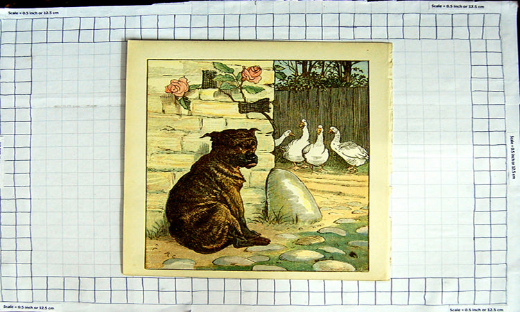 Original Old Antique Print Colour Cute Puppy Dog Farm Geese Garden Roses