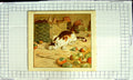 Original Old Antique Print Colour Kitten Cat Basket Apples Fruit Boots