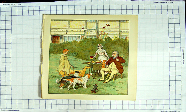 Original Old Antique Print Colour Man Dinner Table Garden Dogs Boy Hunting