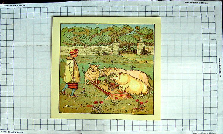 Original Old Antique Print Colour Farm Scene Farmer Feeding Pigs Trough
