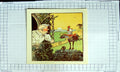 Original Old Antique Print Colour Comedy Scene Cockerel Sunrise Man House