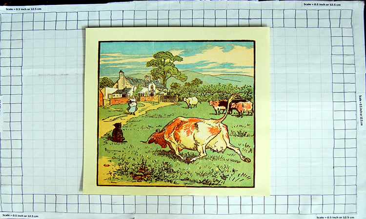Original Old Antique Print Colour Countryside Farm Cows Cattle Milkmaid