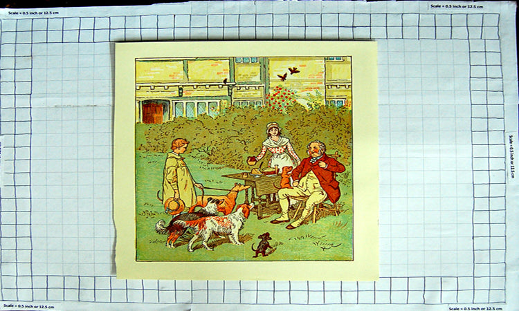 Original Old Antique Print Colour Garden Scene Dinner Picnic Dogs Man