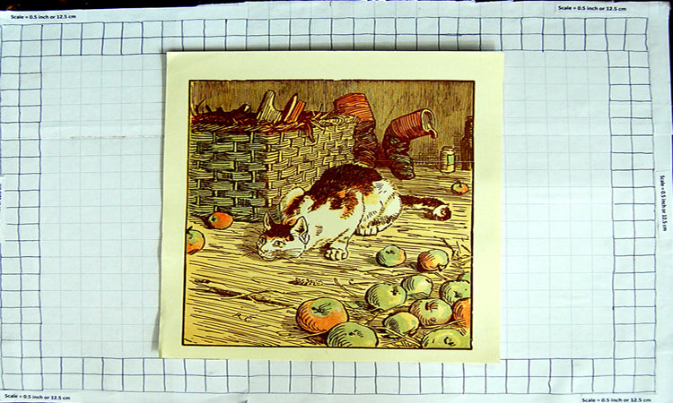 Original Old Antique Print Colour Kitten Cat Basket Apples Nursery Rhyme