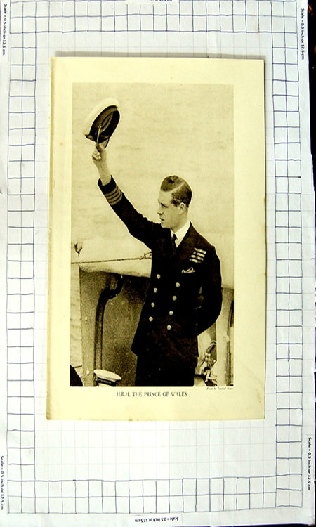 Original Old Antique Print Portrait H.R.H. The Prince Wales Navy Uniform