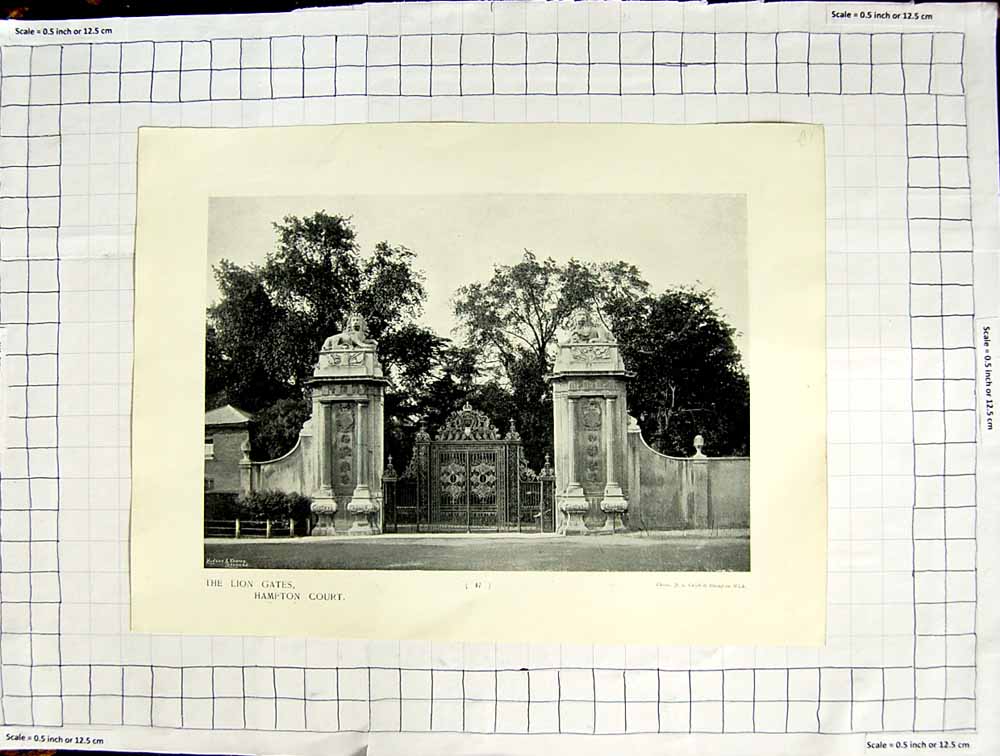 Original Old Antique Print Lion Gates Hampton Court Private Gardens Photograph