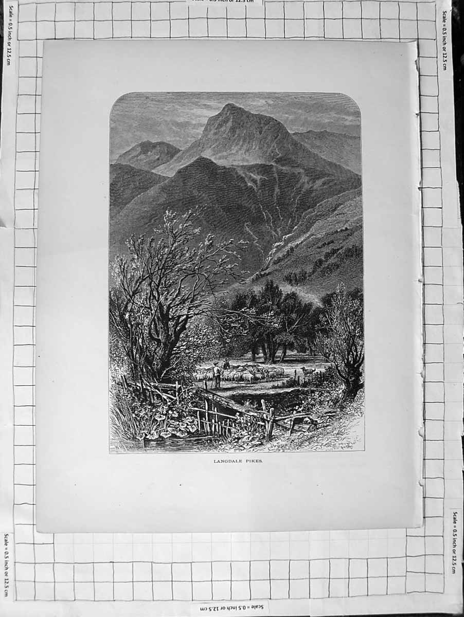 Old Antique Print C1900 View Langdale Pikes Mountains Men Shepherds Sheep 20th